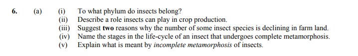 6.-(a)--(i)-To-what-phylum-do-insects-belong?---(ii)-Describe-a-role-insects-can-play-in-crop-production-Leaving Cert Agricultural Science-Question 6-2009.png