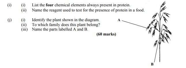 i)-List-the-four-chemical-elements-always-present-in-protein-Leaving Cert Agricultural Science-Question 60 marks-2014.png