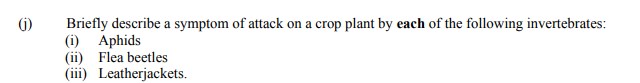 Briefly-describe-a-symptom-of-attack-on-a-crop-plant-by-each-of-the-following-invertebrates:--(i)-Aphids-Leaving Cert Agricultural Science-Question j-2010.png