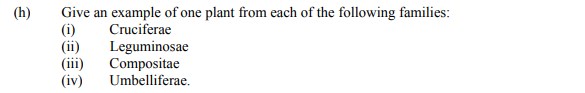 Give-an-example-of-one-plant-from-each-of-the-following-families:-(i)-Cruciferae-(ii)-Leguminosae-(iii)-Compositae-(iv)-Umbelliferae.-Leaving Cert Agricultural Science-Question h-2006.png