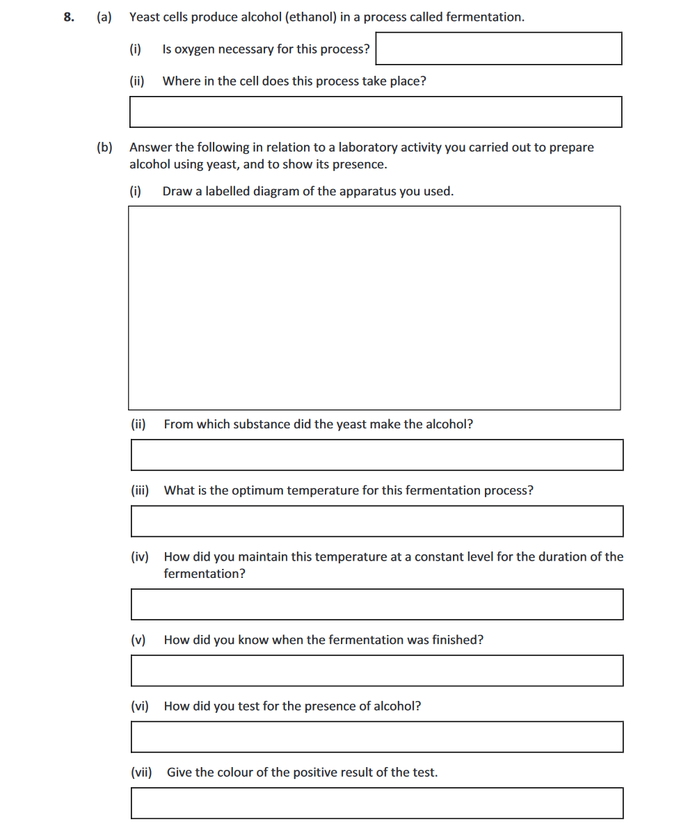 Yeast-cells-produce-alcohol-(ethanol)-in-a-process-called-fermentation-Leaving Cert Biology-Question 8-2019.png
