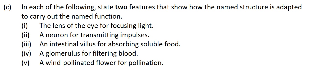 In-each-of-the-following,-state-two-features-that-show-how-the-named-structure-is-adapted-to-carry-out-the-named-function-Leaving Cert Biology-Question 14(c)-2017.png