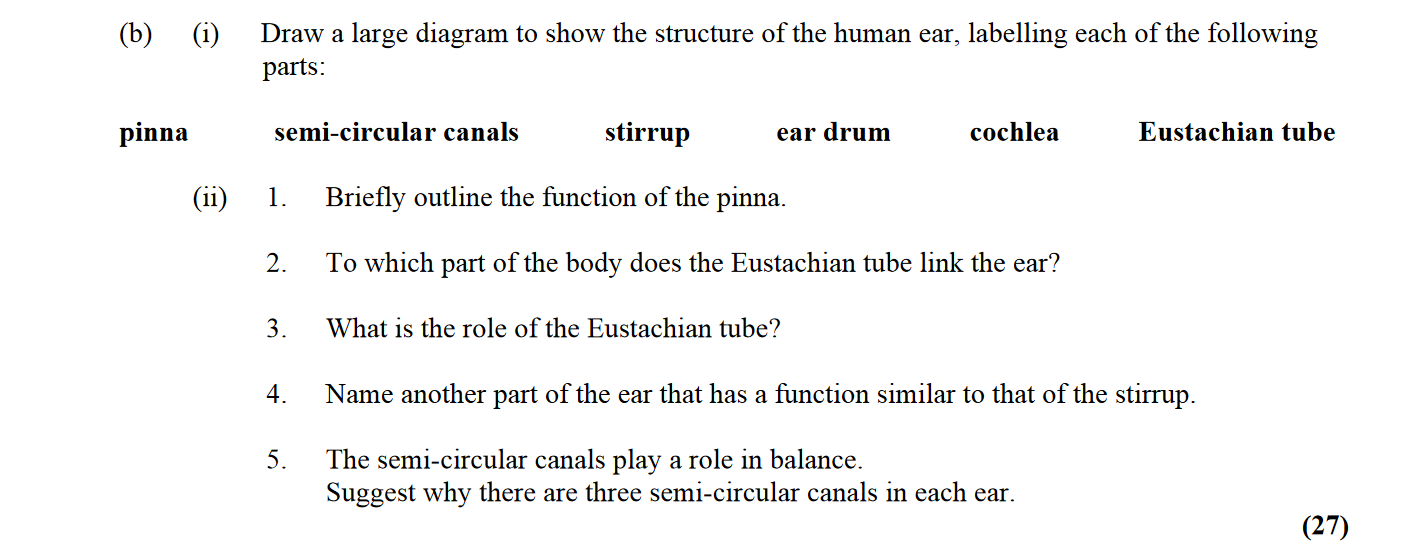 Draw-a-large-diagram-to-show-the-structure-of-the-human-ear,-labelling-each-of-the-following-parts:--pinna-semi-circular-canals-stirrup-ear-drum-cochlea-Eustachian-tube--(ii)---1-Leaving Cert Biology-Question (b)-2016.png