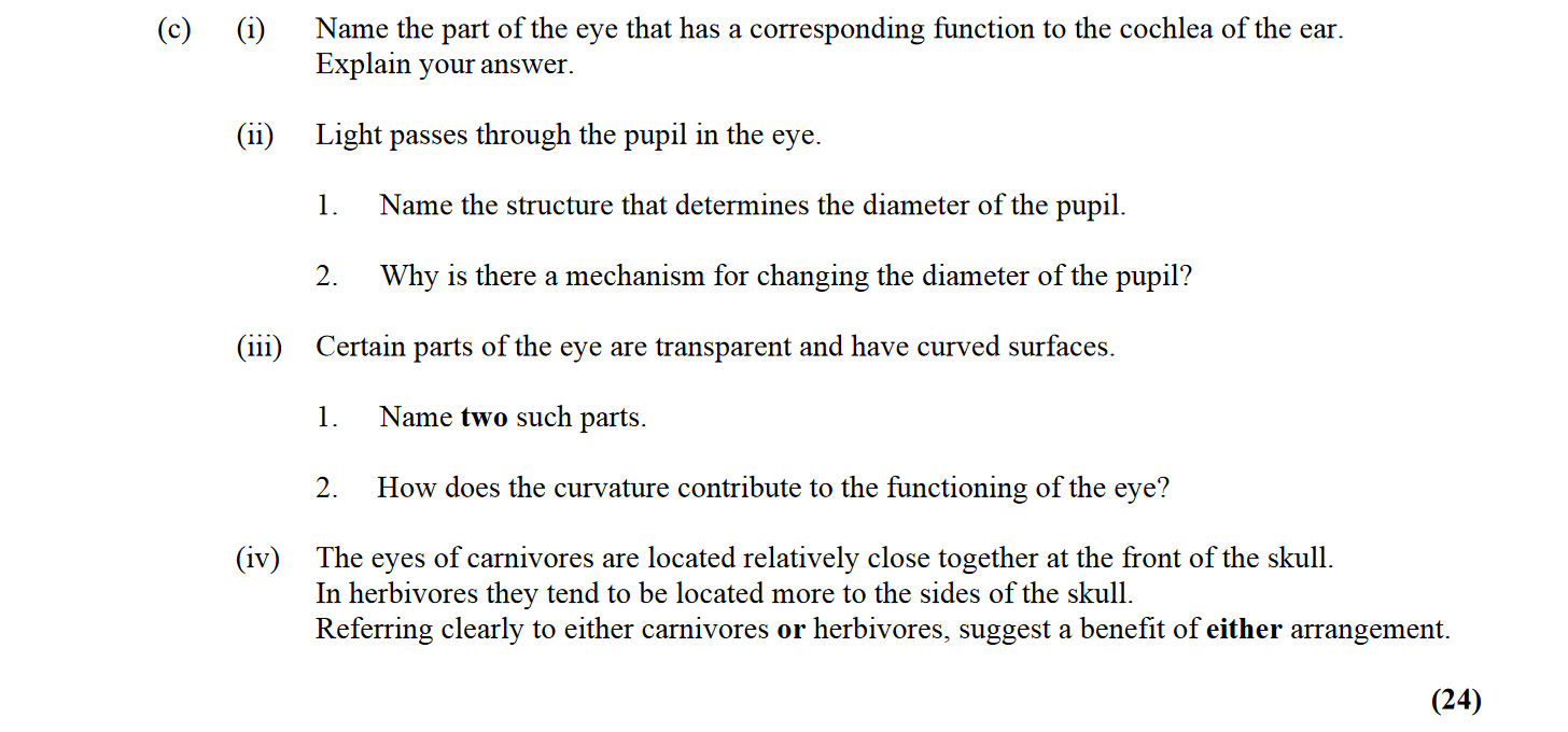 Name-the-part-of-the-eye-that-has-a-corresponding-function-to-the-cochlea-of-the-ear-Leaving Cert Biology-Question c-2016.png