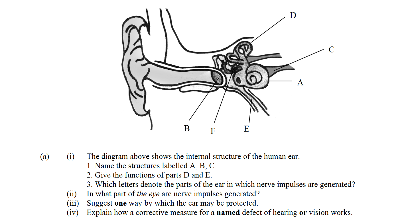 The-diagram-above-shows-the-internal-structure-of-the-human-ear-Leaving Cert Biology-Question 15-2011.png