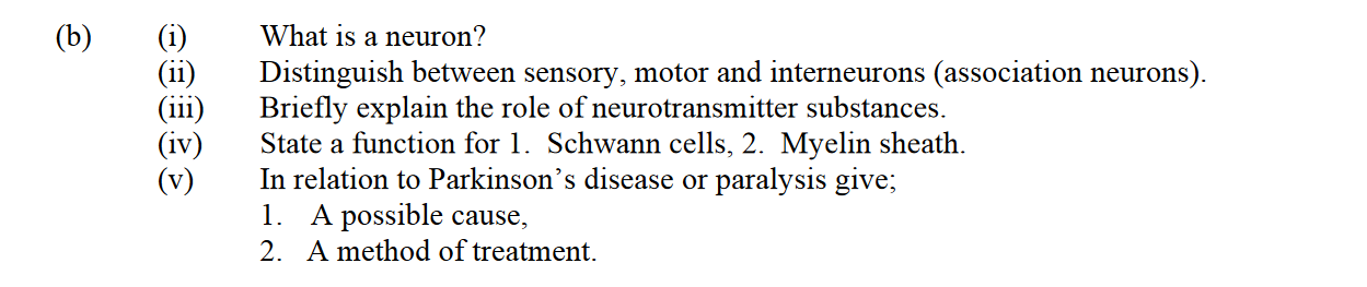 (b)--(i)-What-is-a-neuron?--(ii)-Distinguish-between-sensory,-motor-and-interneurons-(association-neurons)-Leaving Cert Biology-Question b-2006.png