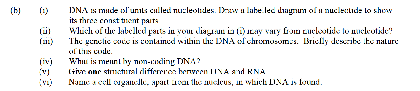 DNA-is-made-of-units-called-nucleotides-Leaving Cert Biology-Question b-2008.png