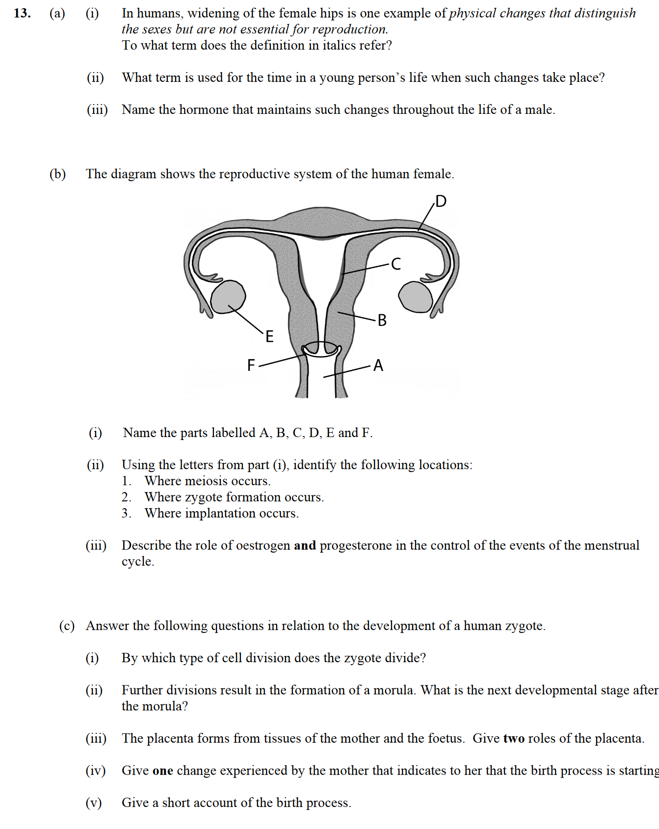 In-humans,-widening-of-the-female-hips-is-one-example-of-physical-changes-that-distinguish-the-sexes-but-are-not-essential-for-reproduction-Leaving Cert Biology-Question 13-2013.png
