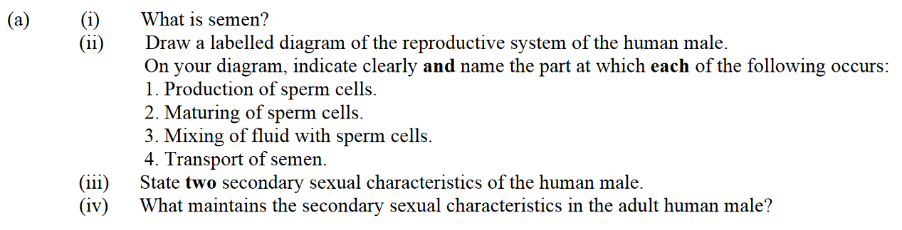 What-is-semen?--Draw-a-labelled-diagram-of-the-reproductive-system-of-the-human-male-Leaving Cert Biology-Question 15-2010.png