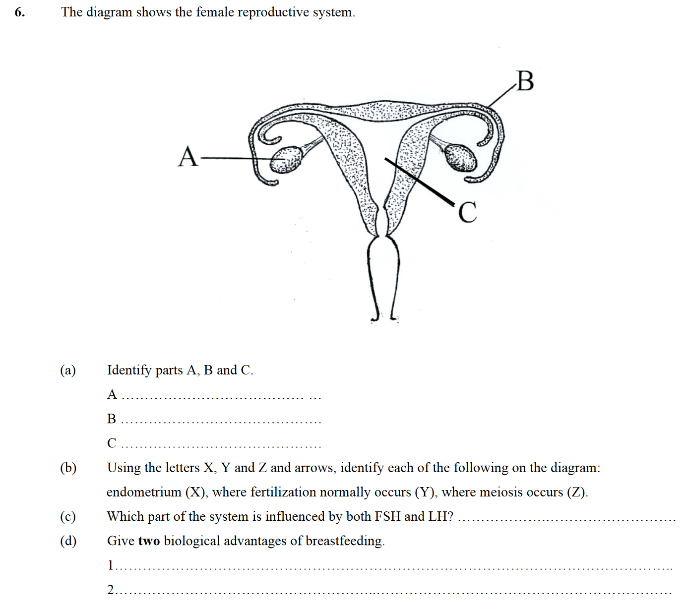 The-diagram-shows-the-female-reproductive-system-Leaving Cert Biology-Question 6-2008.png