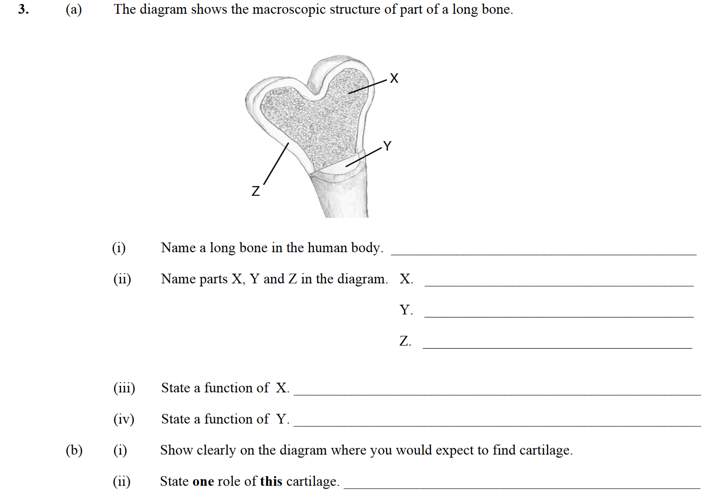 The-diagram-shows-the-macroscopic-structure-of-part-of-a-long-bone-Leaving Cert Biology-Question 3-2012.png