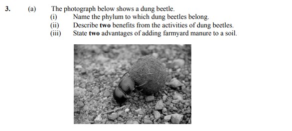 The-photograph-below-shows-a-dung-beetle-Leaving Cert Agricultural Science-Question 3(a)-2006.png