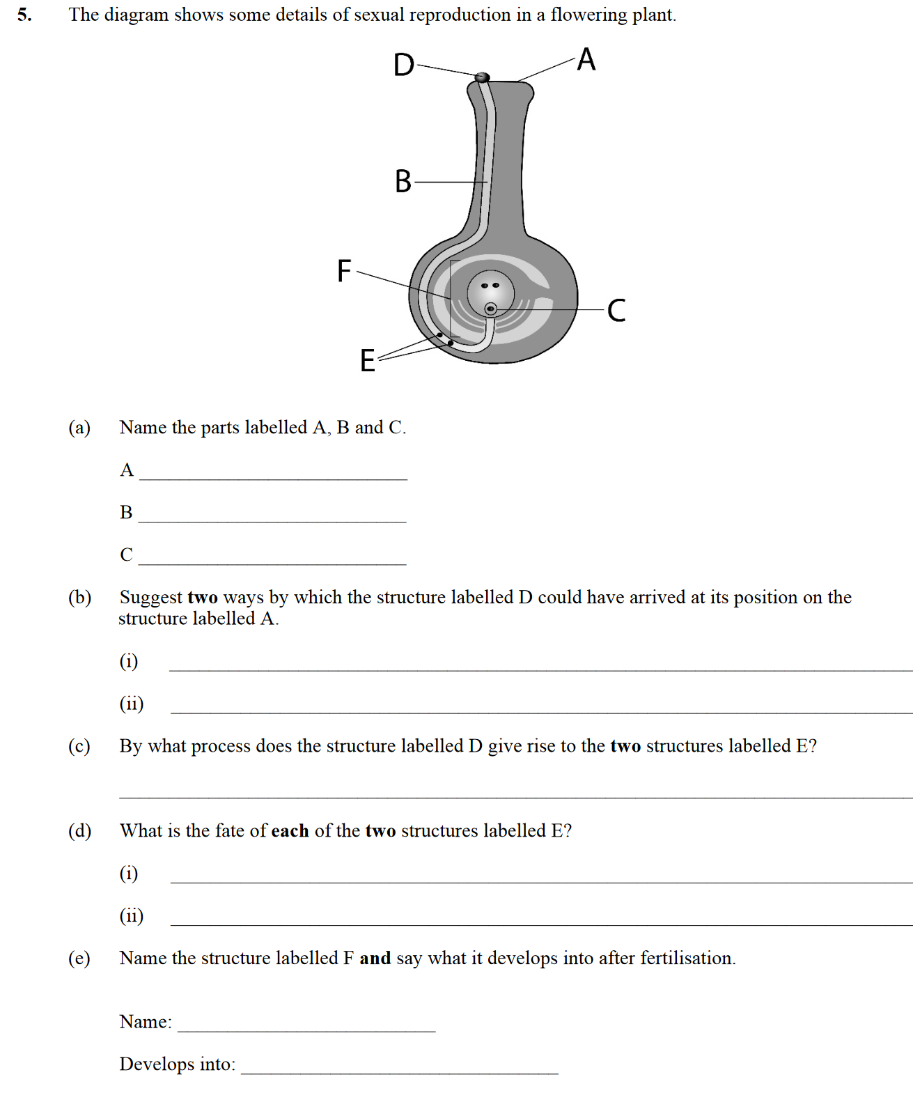 The-diagram-shows-some-details-of-sexual-reproduction-in-a-flowering-plant-Leaving Cert Biology-Question 5-2016.png