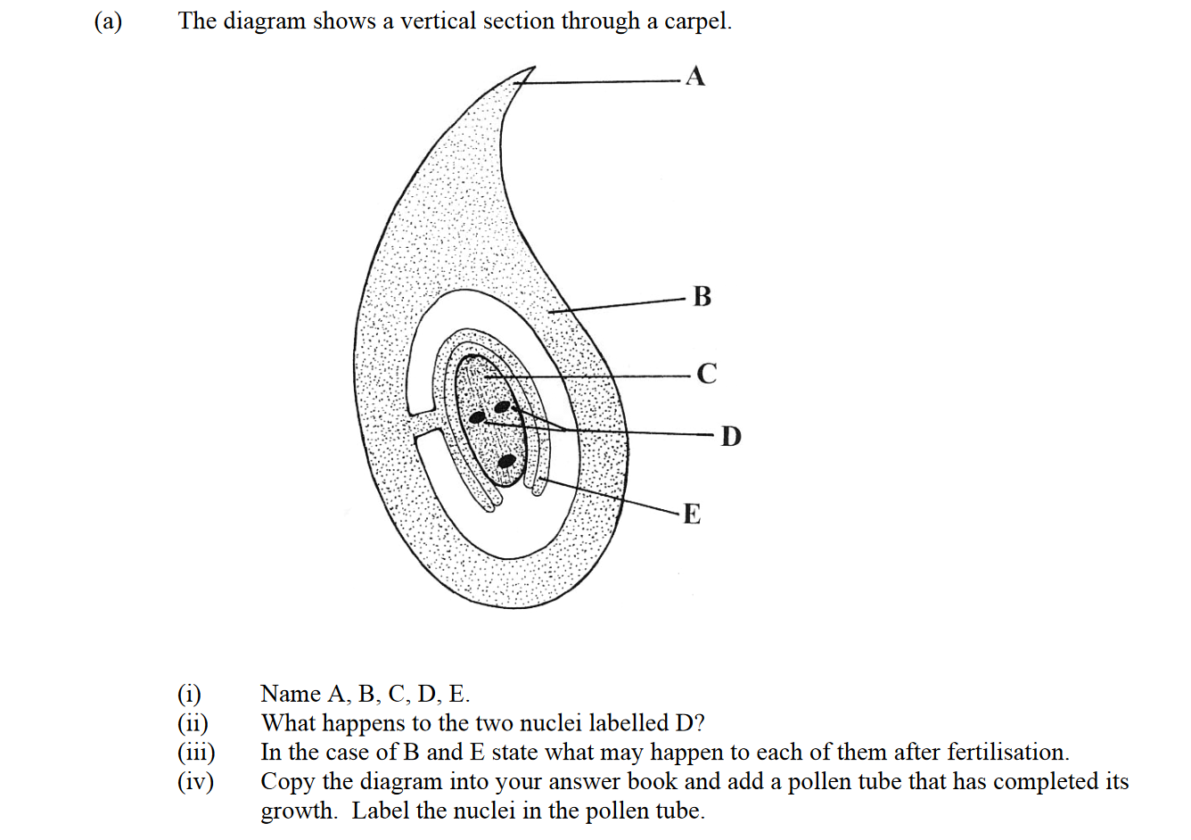 The-diagram-shows-a-vertical-section-through-a-carpel-Leaving Cert Biology-Question a-2004.png