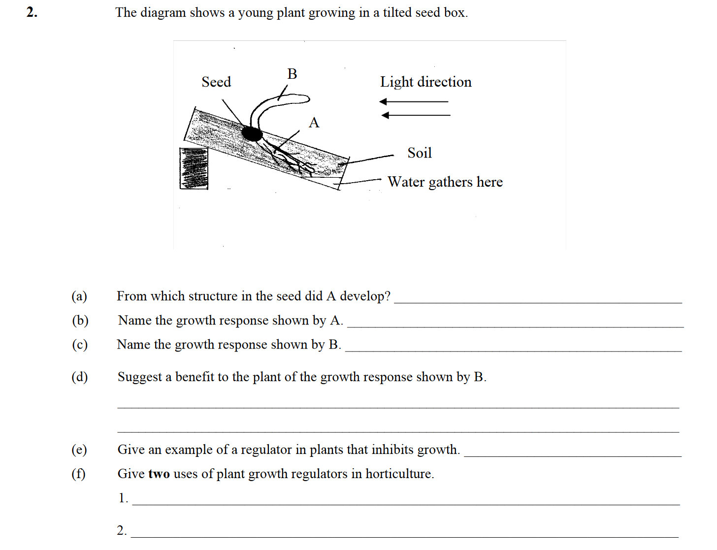 The-diagram-shows-a-young-plant-growing-in-a-tilted-seed-box-Leaving Cert Biology-Question 2-2009.png