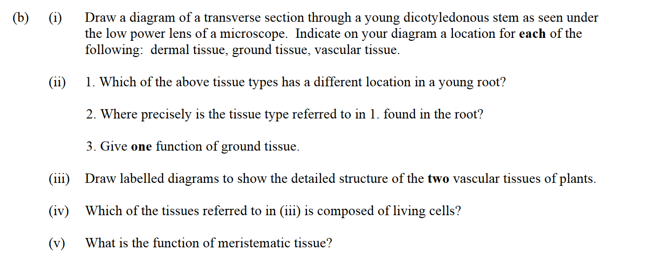 Draw-a-diagram-of-a-transverse-section-through-a-young-dicotyledonous-stem-as-seen-under-the-low-power-lens-of-a-microscope-Leaving Cert Biology-Question 14-2014.png