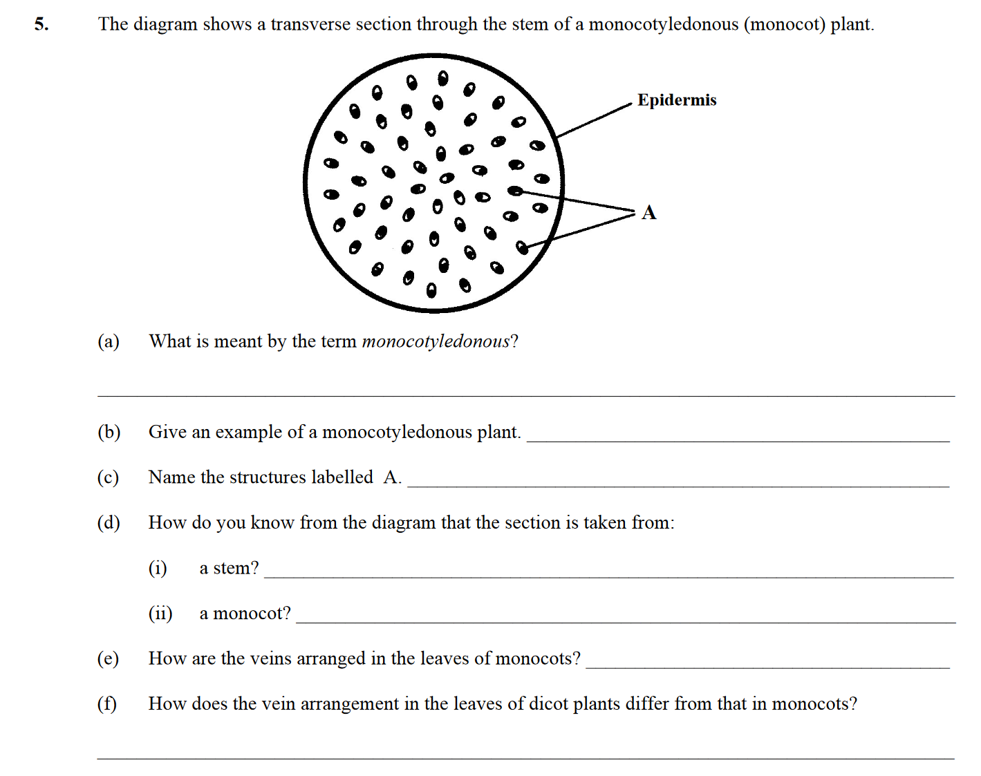 The-diagram-shows-a-transverse-section-through-the-stem-of-a-monocotyledonous-(monocot)-plant-Leaving Cert Biology-Question 5-2012.png