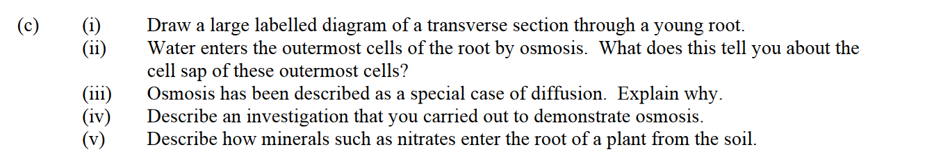 Draw-a-large-labelled-diagram-of-a-transverse-section-through-a-young-root-Leaving Cert Biology-Question c-2008.png