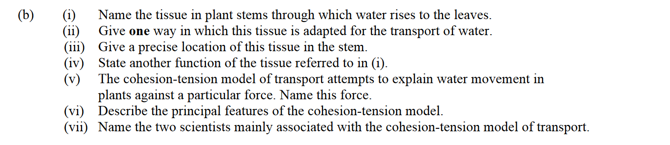 Name-the-tissue-in-plant-stems-through-which-water-rises-to-the-leaves-Leaving Cert Biology-Question 15-2011.png