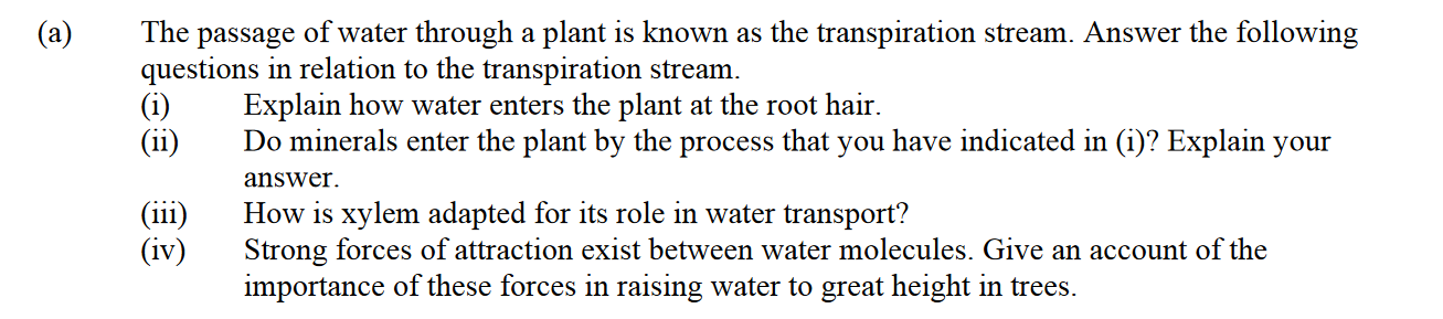 The-passage-of-water-through-a-plant-is-known-as-the-transpiration-stream-Leaving Cert Biology-Question a-2005.png