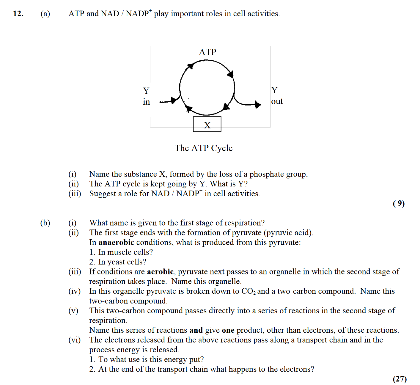 ATP-and-NAD-/-NADP+-play-important-roles-in-cell-activities-Leaving Cert Biology-Question 12-2009.png