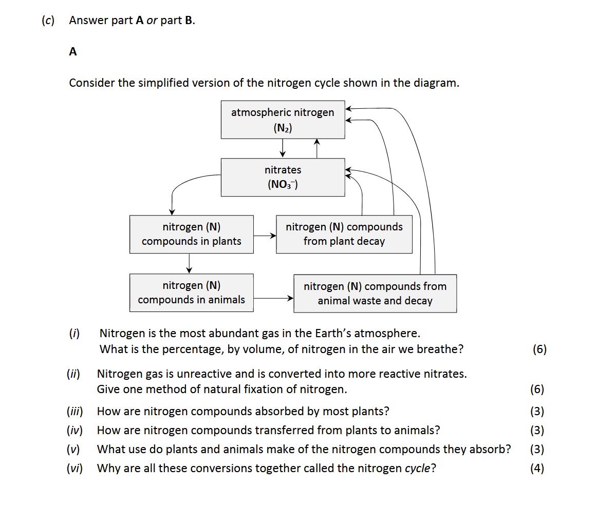 Consider-the-simplified-version-of-the-nitrogen-cycle-shown-in-the-diagram-Leaving Cert Chemistry-Question c A-2019.png