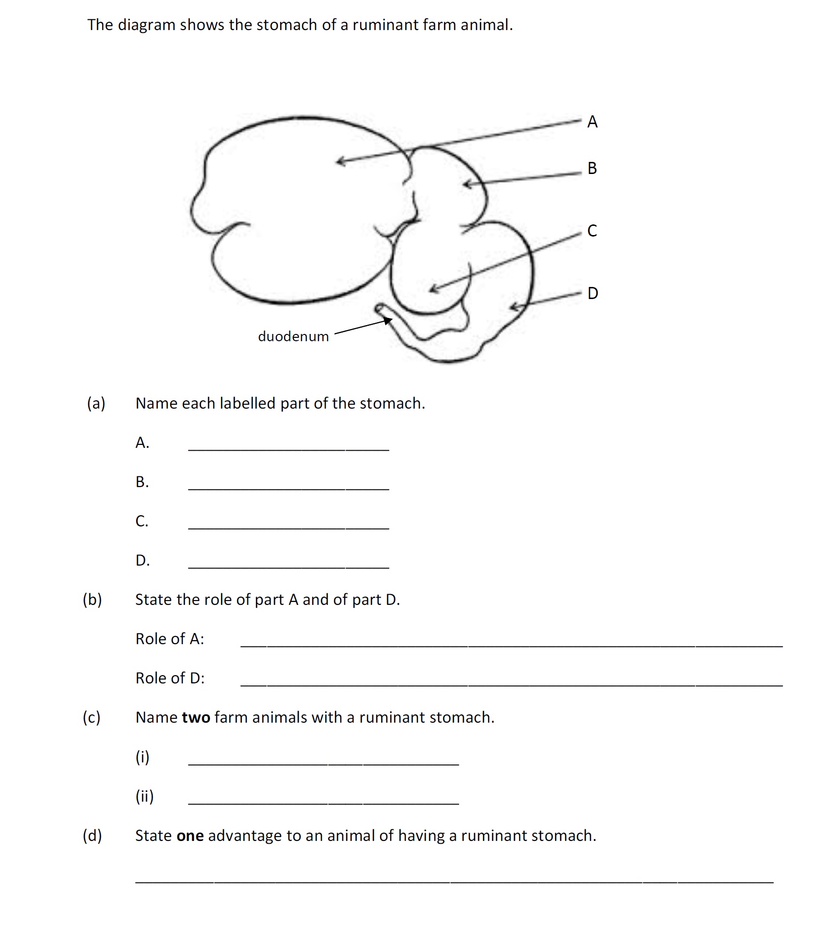 The-diagram-shows-the-stomach-of-a-ruminant-farm-animal-Leaving Cert Agricultural Science-Question Question 1-2018.png