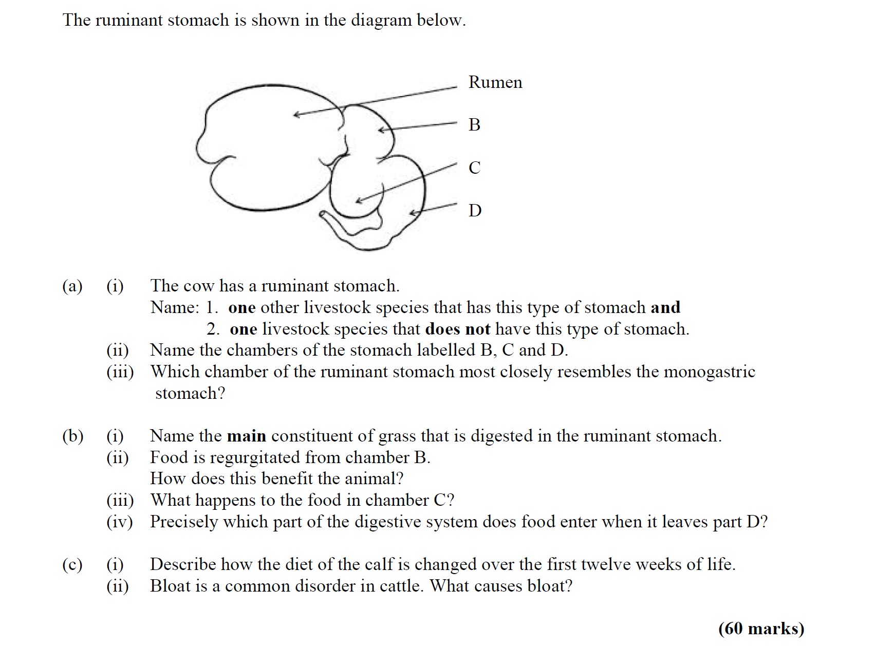 The-cow-has-a-ruminant-stomach:--1-Leaving Cert Agricultural Science-Question a)-2015.png