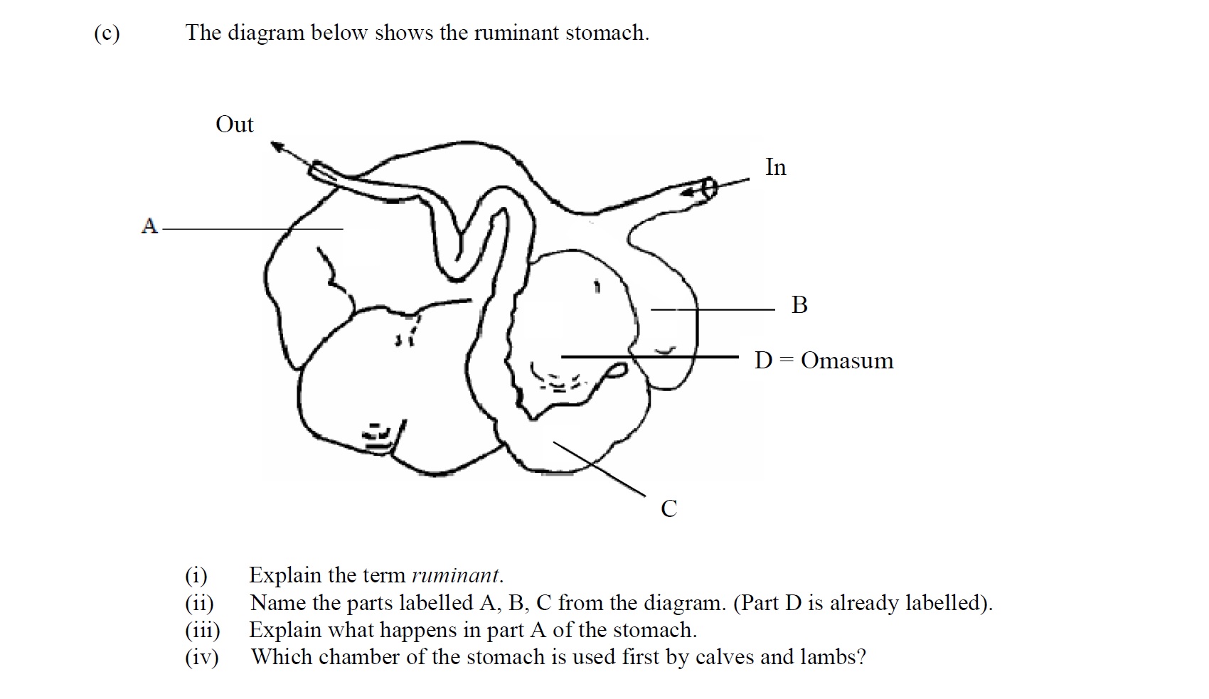 The-diagram-below-shows-the-ruminant-stomach-Leaving Cert Agricultural Science-Question (c)-2012.png