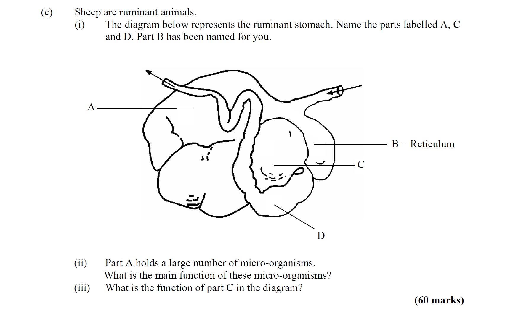 Sheep-are-ruminant-animals-Leaving Cert Agricultural Science-Question c-2009.png