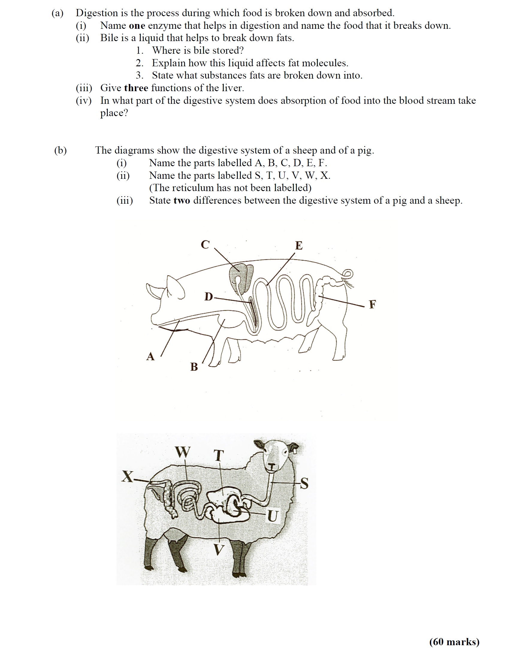 Digestion-is-the-process-during-which-food-is-broken-down-and-absorbed-Leaving Cert Agricultural Science-Question a-2008.png