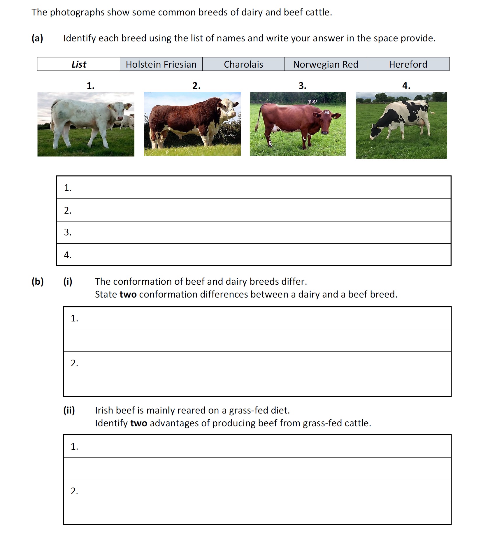 The-photographs-show-some-common-breeds-of-dairy-and-beef-cattle-Leaving Cert Agricultural Science-Question a-2020.png