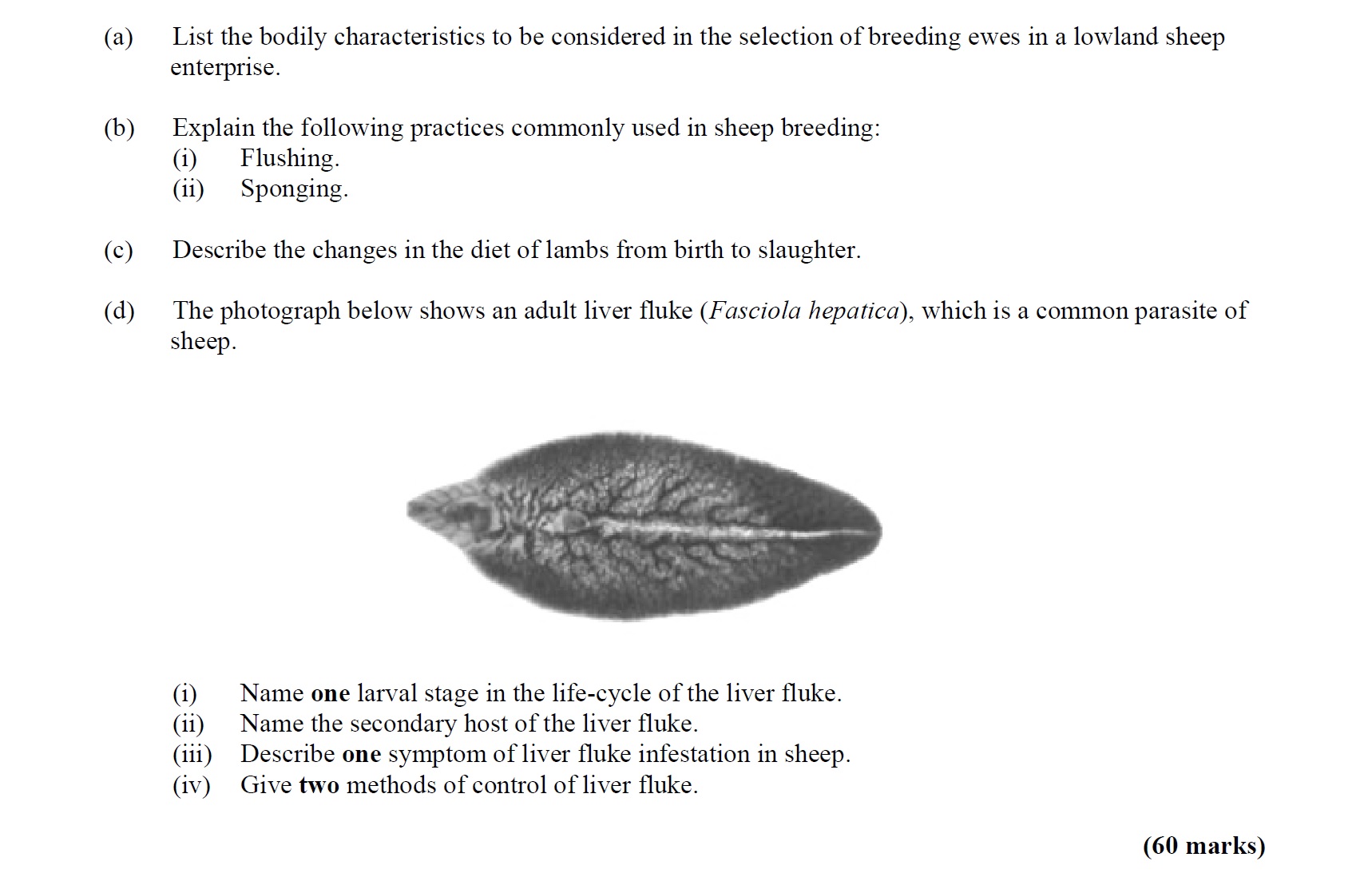 a)-List-the-bodily-characteristics-to-be-considered-in-the-selection-of-breeding-ewes-in-a-lowland-sheep-enterprise-Leaving Cert Agricultural Science-Question Question 1-2014.png