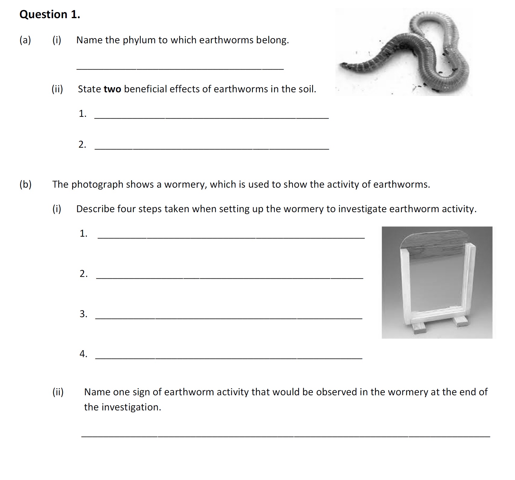 1.-(a)-Name-the-phylum-to-which-earthworms-belong-Leaving Cert Agricultural Science-Question 1-2019.png