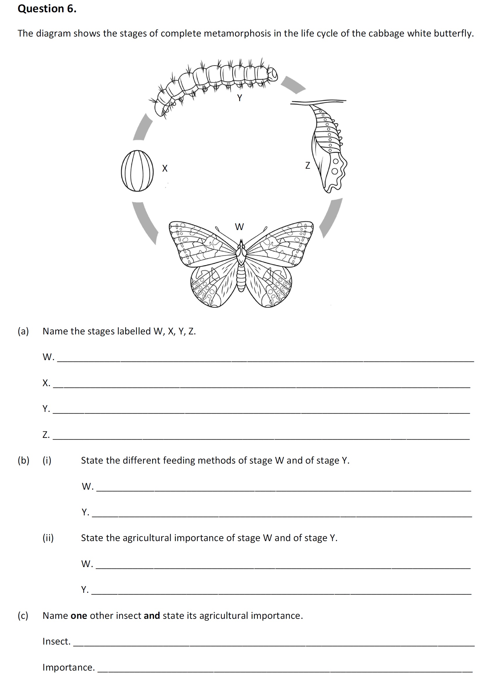The-diagram-shows-the-stages-of-complete-metamorphosis-in-the-life-cycle-of-the-cabbage-white-butterfly-Leaving Cert Agricultural Science-Question 6-2017.png