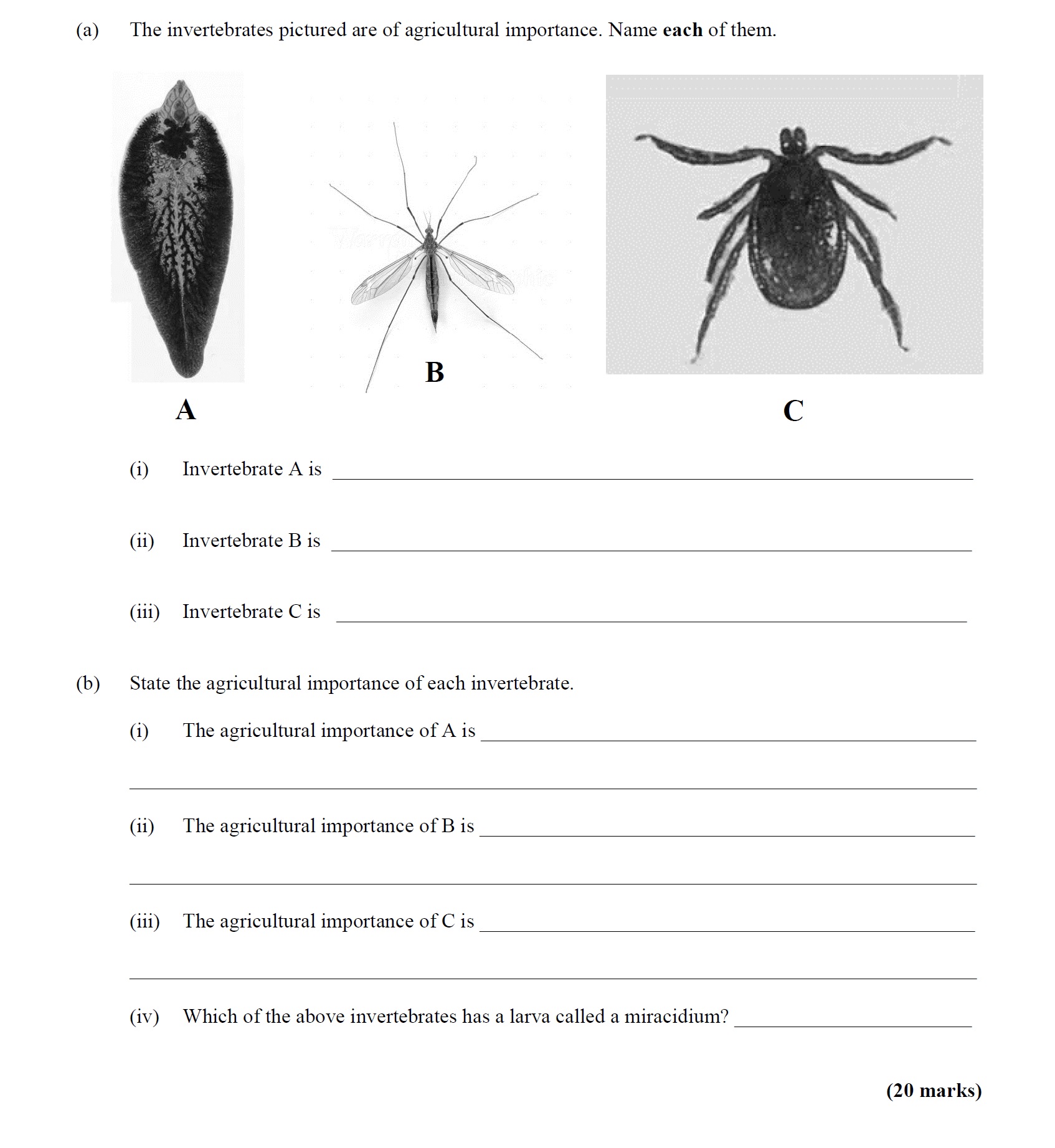 The-invertebrates-pictured-are-of-agricultural-importance-Leaving Cert Agricultural Science-Question 6-2016.png