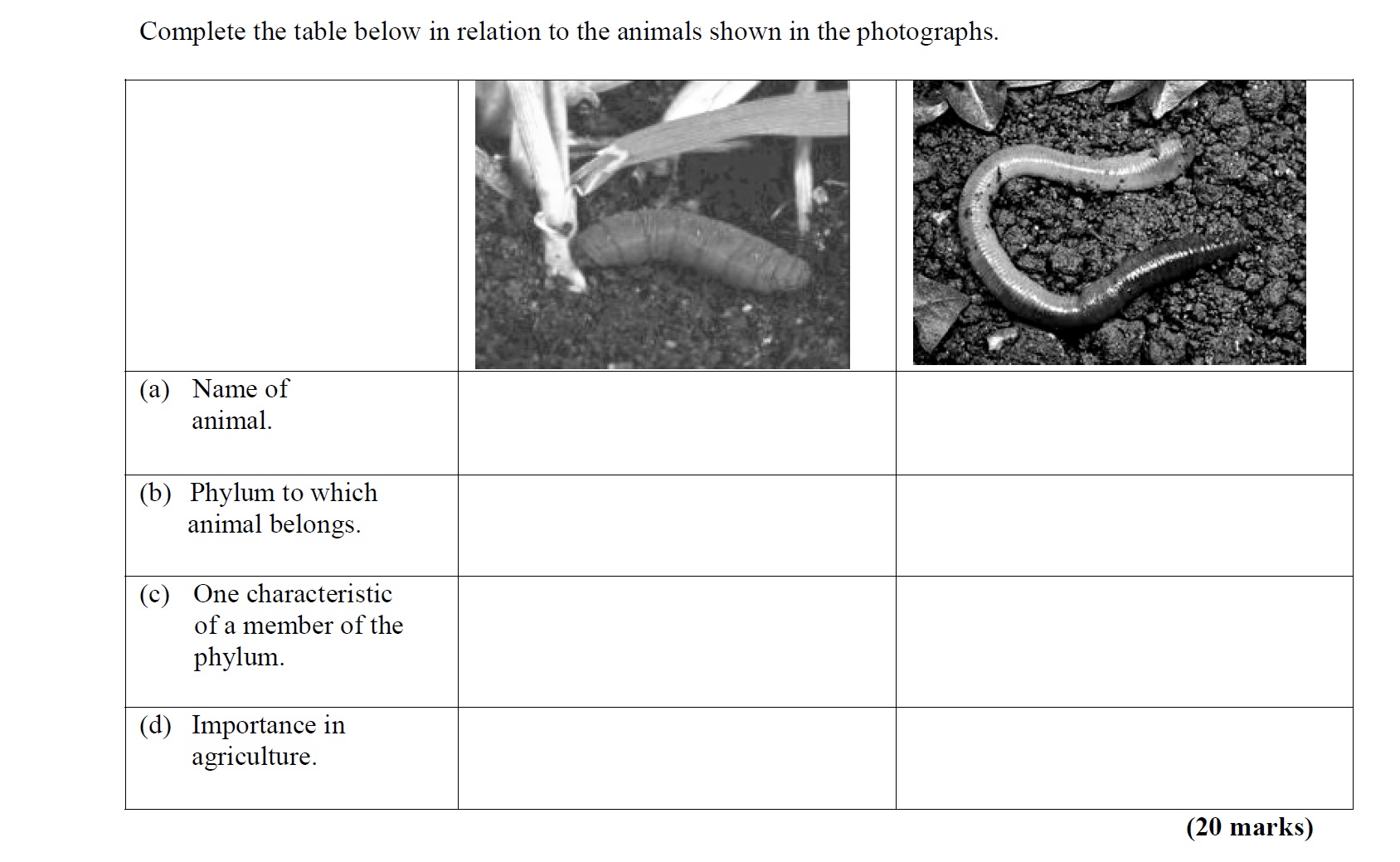 Complete-the-table-below-in-relation-to-the-animals-shown-in-the-photographs-Leaving Cert Agricultural Science-Question Question 1-2012.png