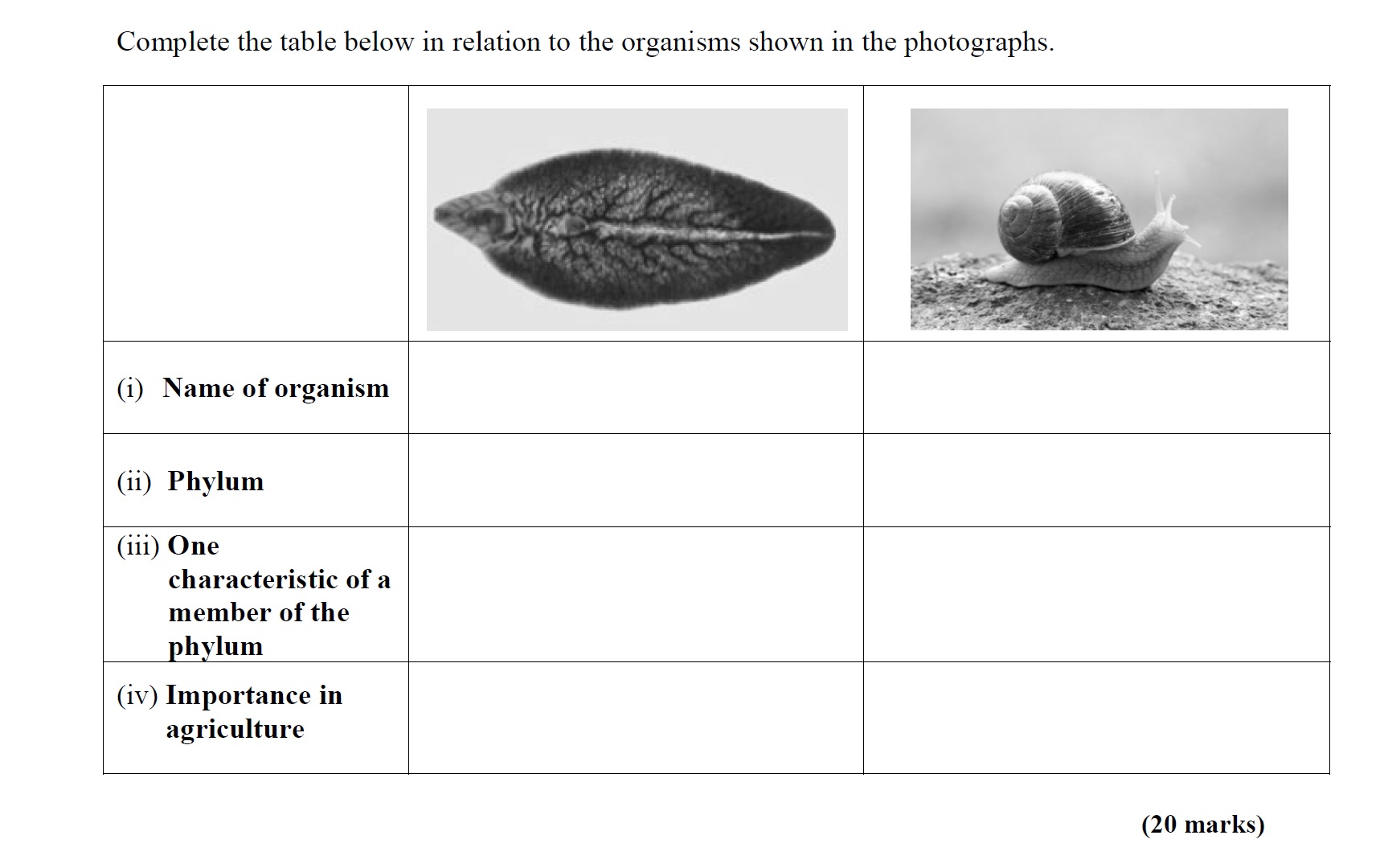 Complete-the-table-below-in-relation-to-the-organisms-shown-in-the-photographs-Leaving Cert Agricultural Science-Question 4-2012.png
