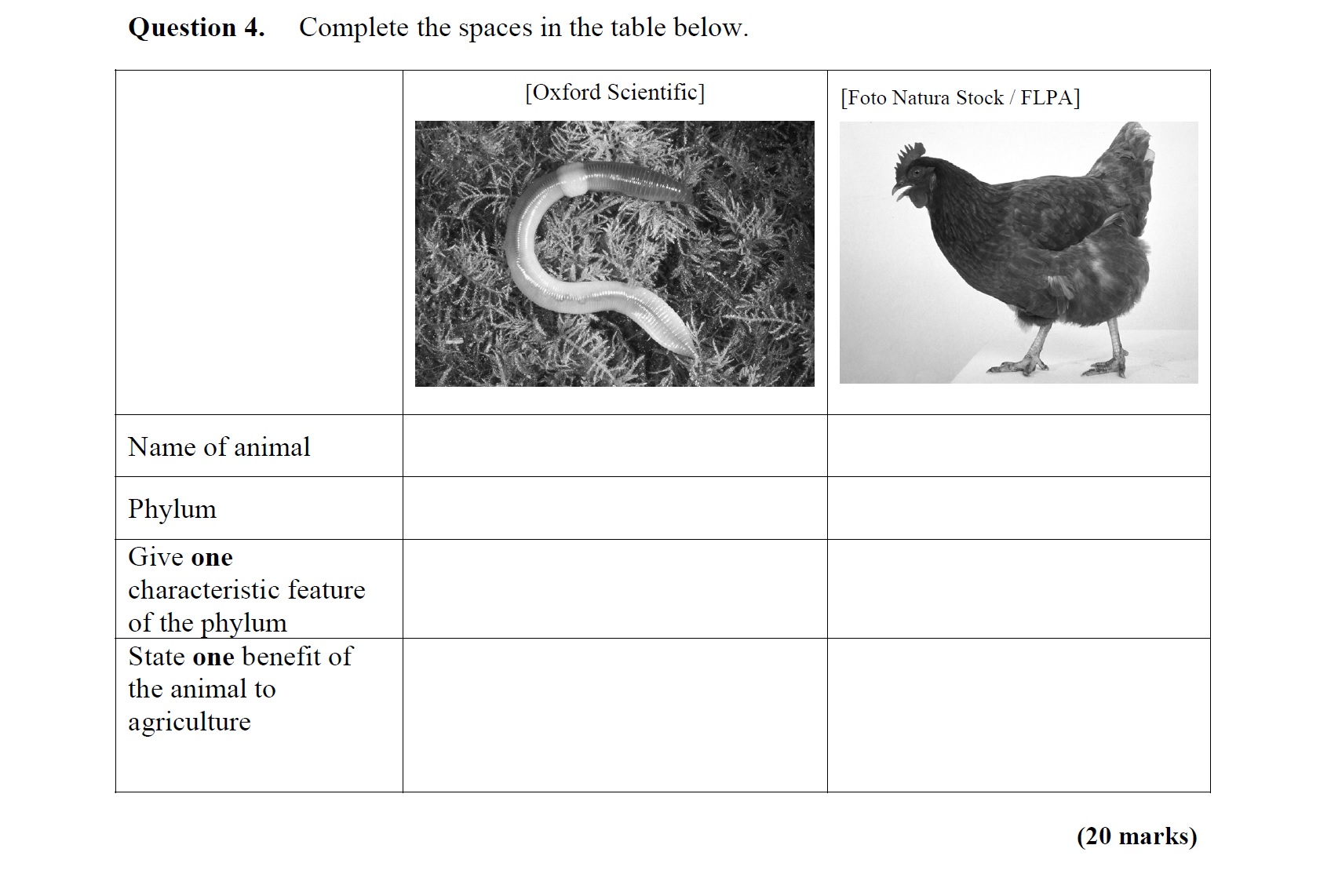 Complete-the-spaces-in-the-table-below-Leaving Cert Agricultural Science-Question 4-2007.png
