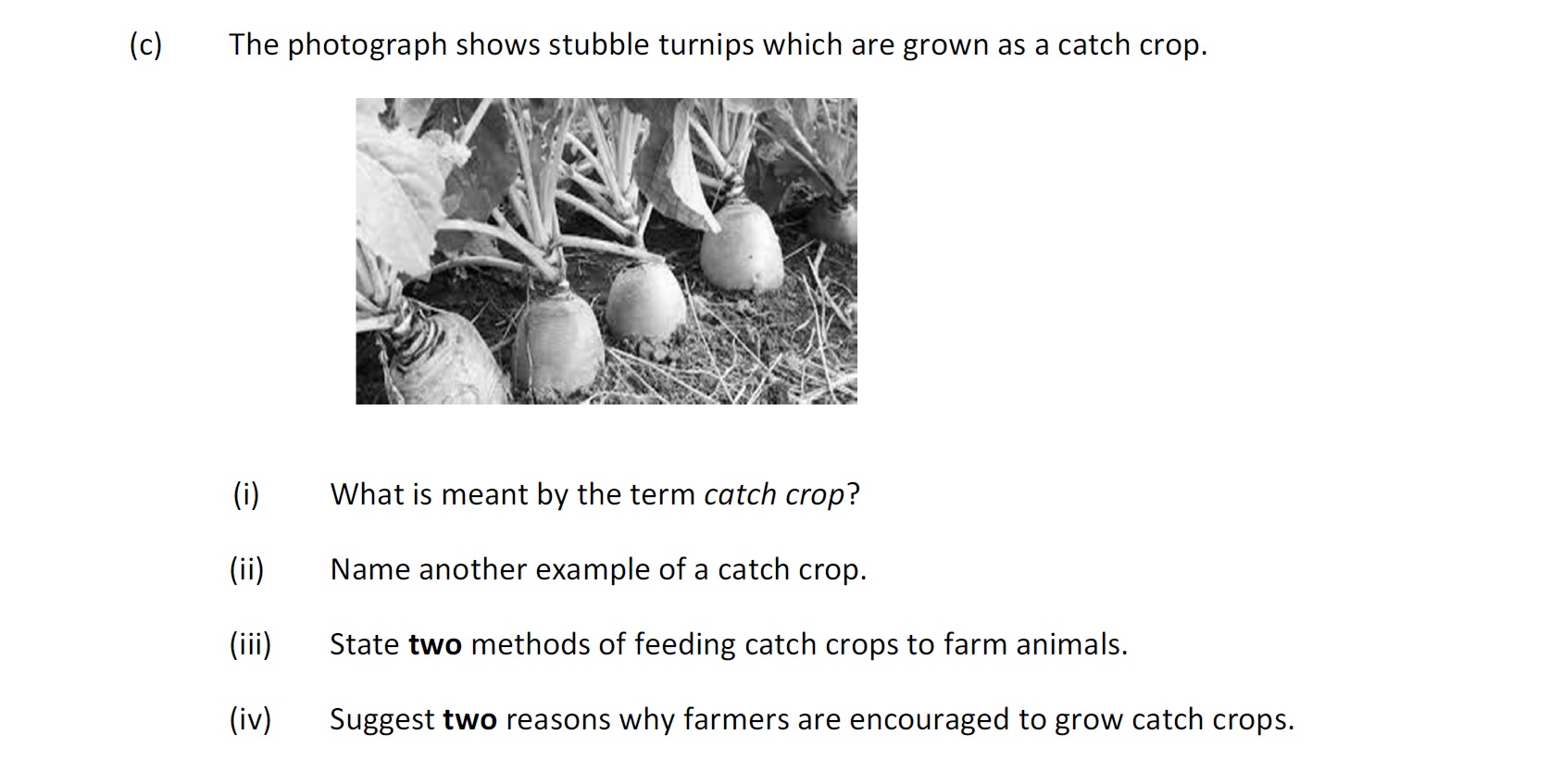The-photograph-shows-stubble-turnips-which-are-grown-as-a-catch-crop-Leaving Cert Agricultural Science-Question 9 (c)-2019.png