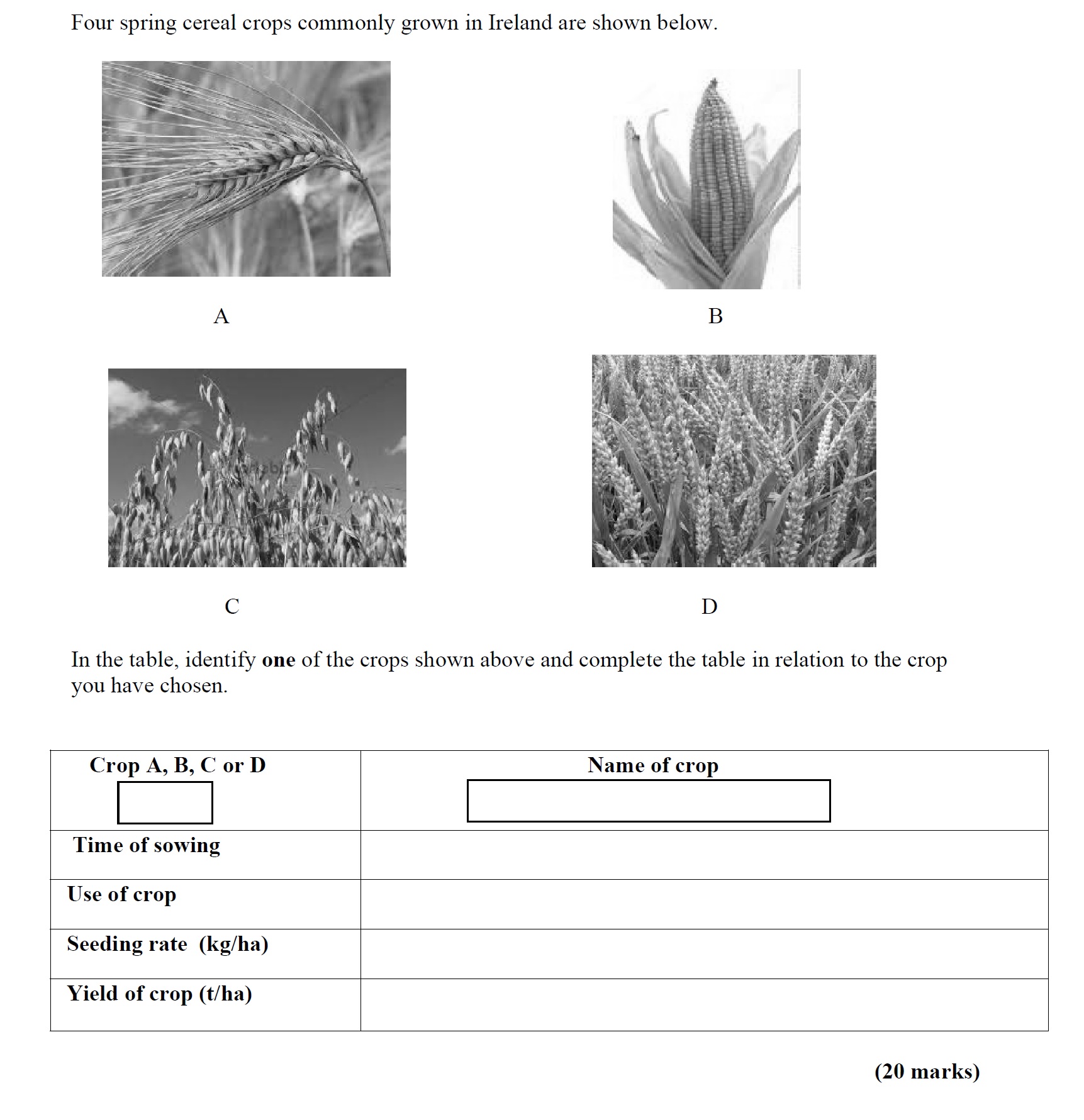 Four-spring-cereal-crops-commonly-grown-in-Ireland-are-shown-below-Leaving Cert Agricultural Science-Question 4-2015.png