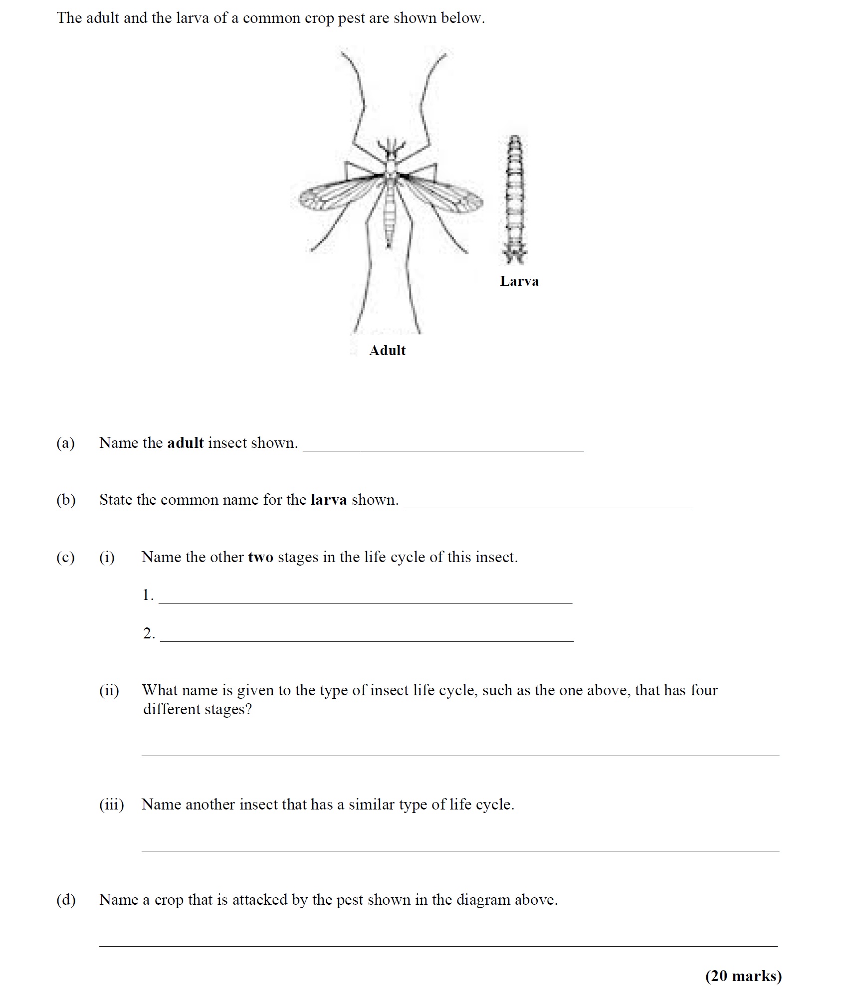 The-adult-and-the-larva-of-a-common-crop-pest-are-shown-below-Leaving Cert Agricultural Science-Question Question 1-2014.png