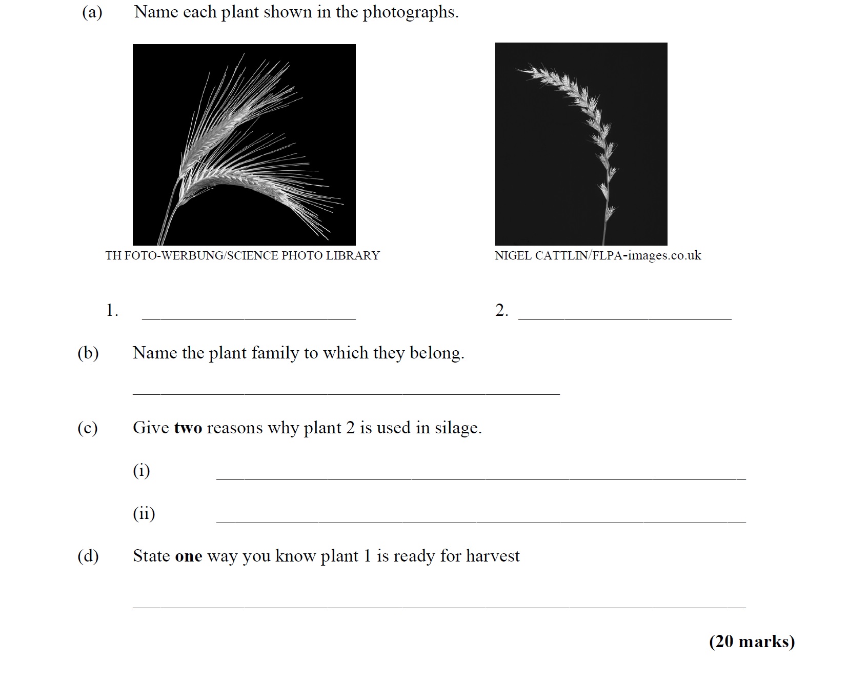 a)-Name-each-plant-shown-in-the-photographs-Leaving Cert Agricultural Science-Question 1-2006.png