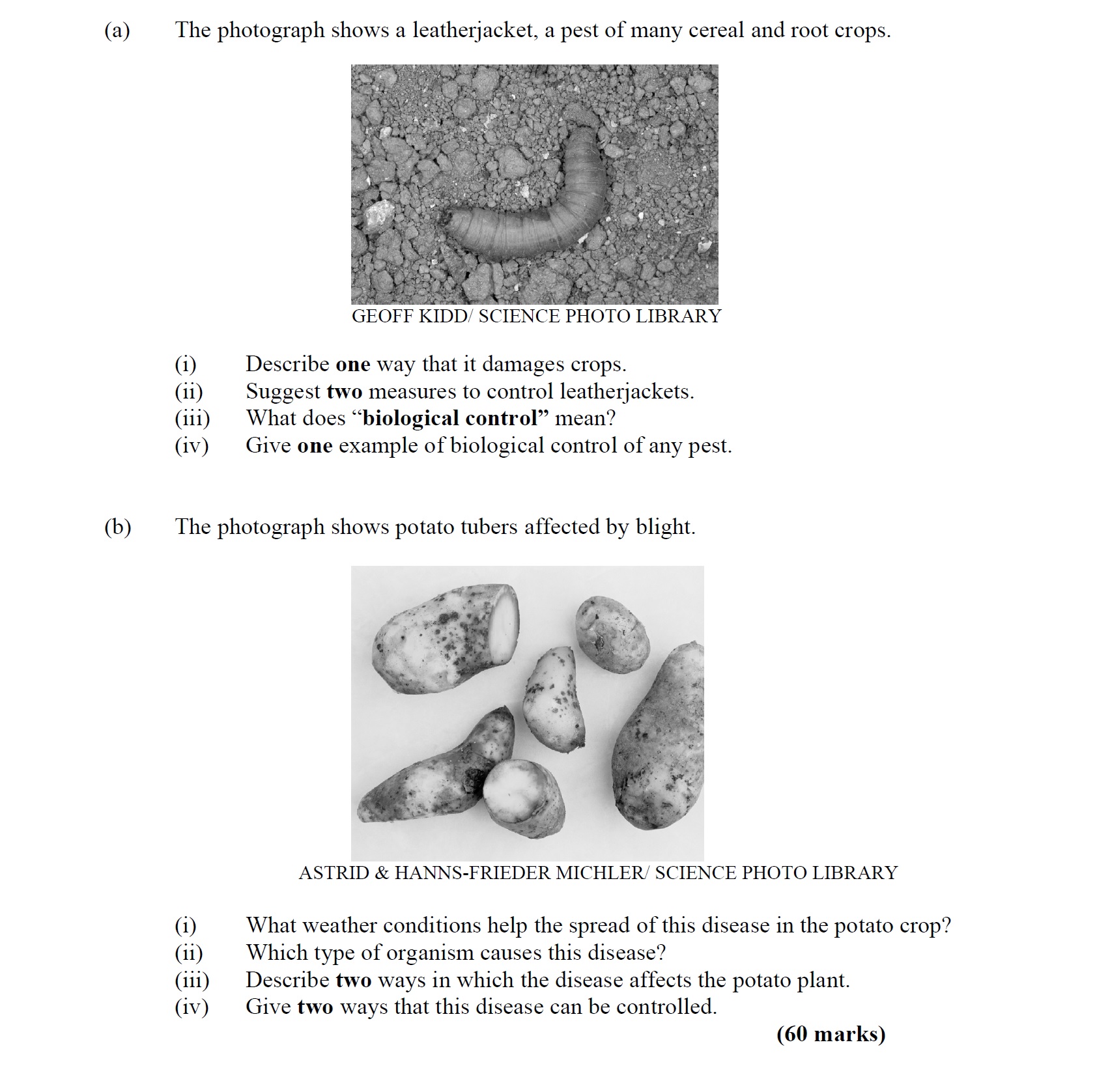 a)-The-photograph-shows-a-leatherjacket,-a-pest-of-many-cereal-and-root-crops-Leaving Cert Agricultural Science-Question 8-2006.png