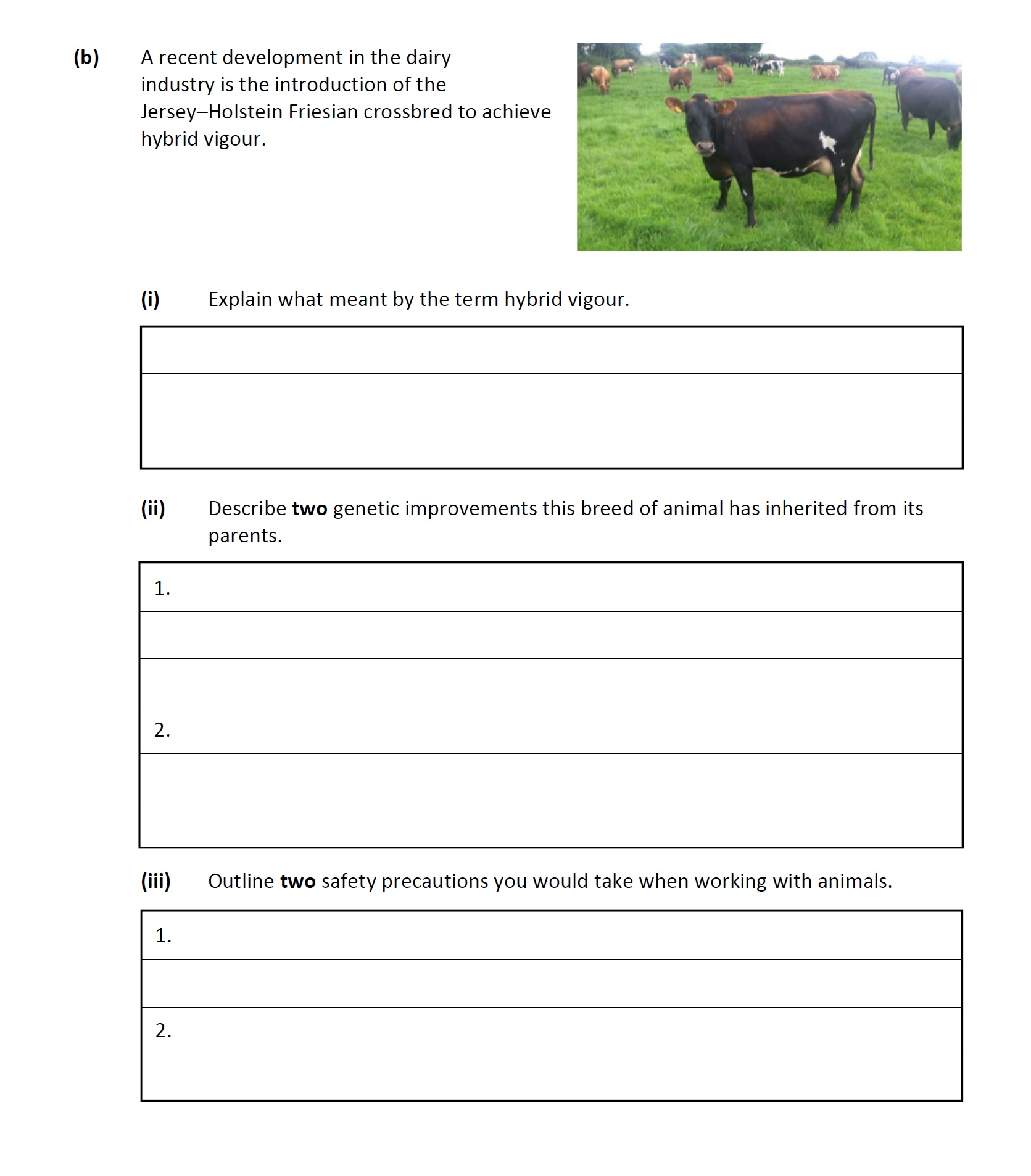 A-recent-development-in-the-dairy-industry-is-the-introduction-of-the-Jersey–Holstein-Friesian-crossbred-to-achieve-hybrid-vigour-Leaving Cert Agricultural Science-Question b-2020.png