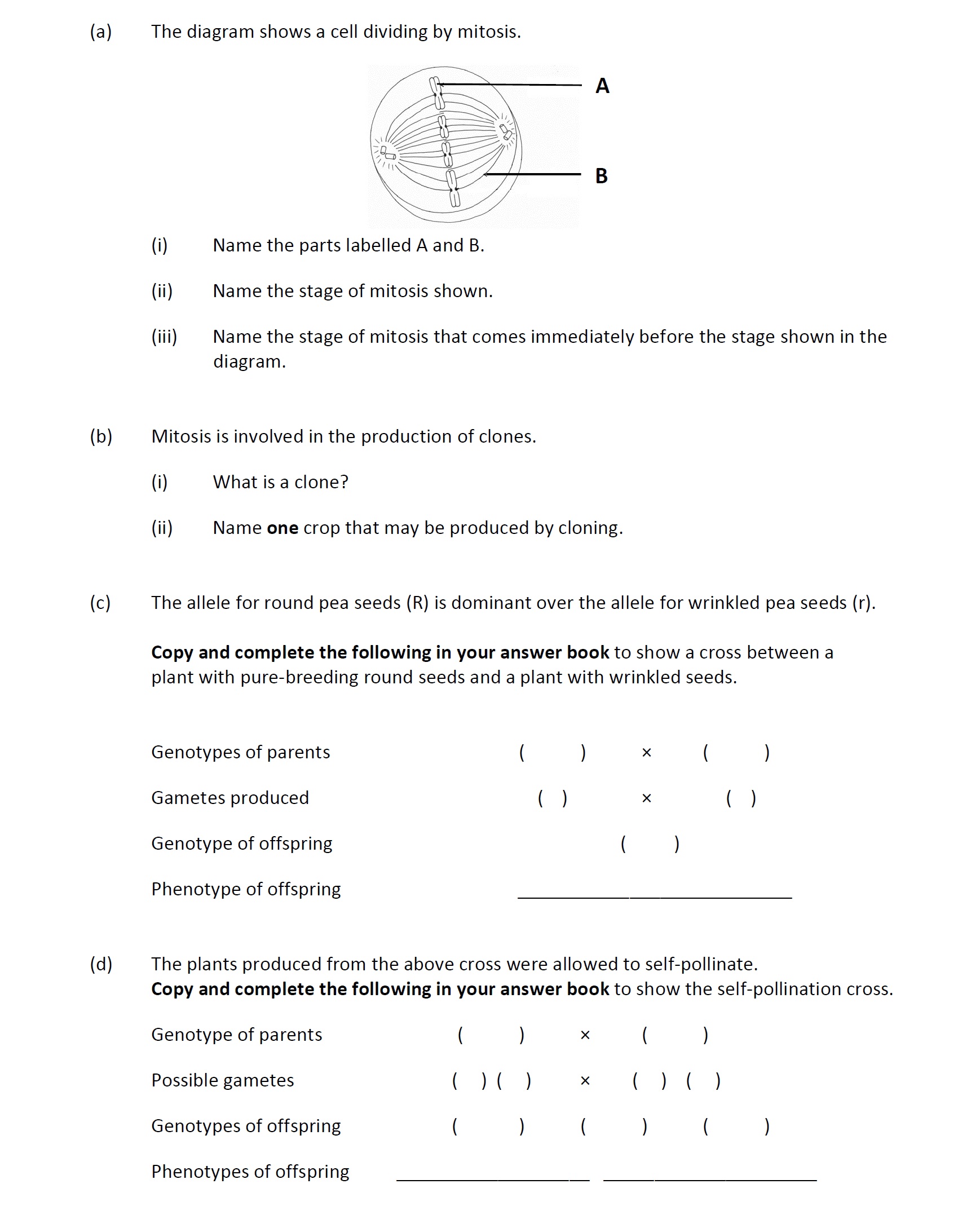 The-diagram-shows-a-cell-dividing-by-mitosis-Leaving Cert Agricultural Science-Question Question 1-2018.png