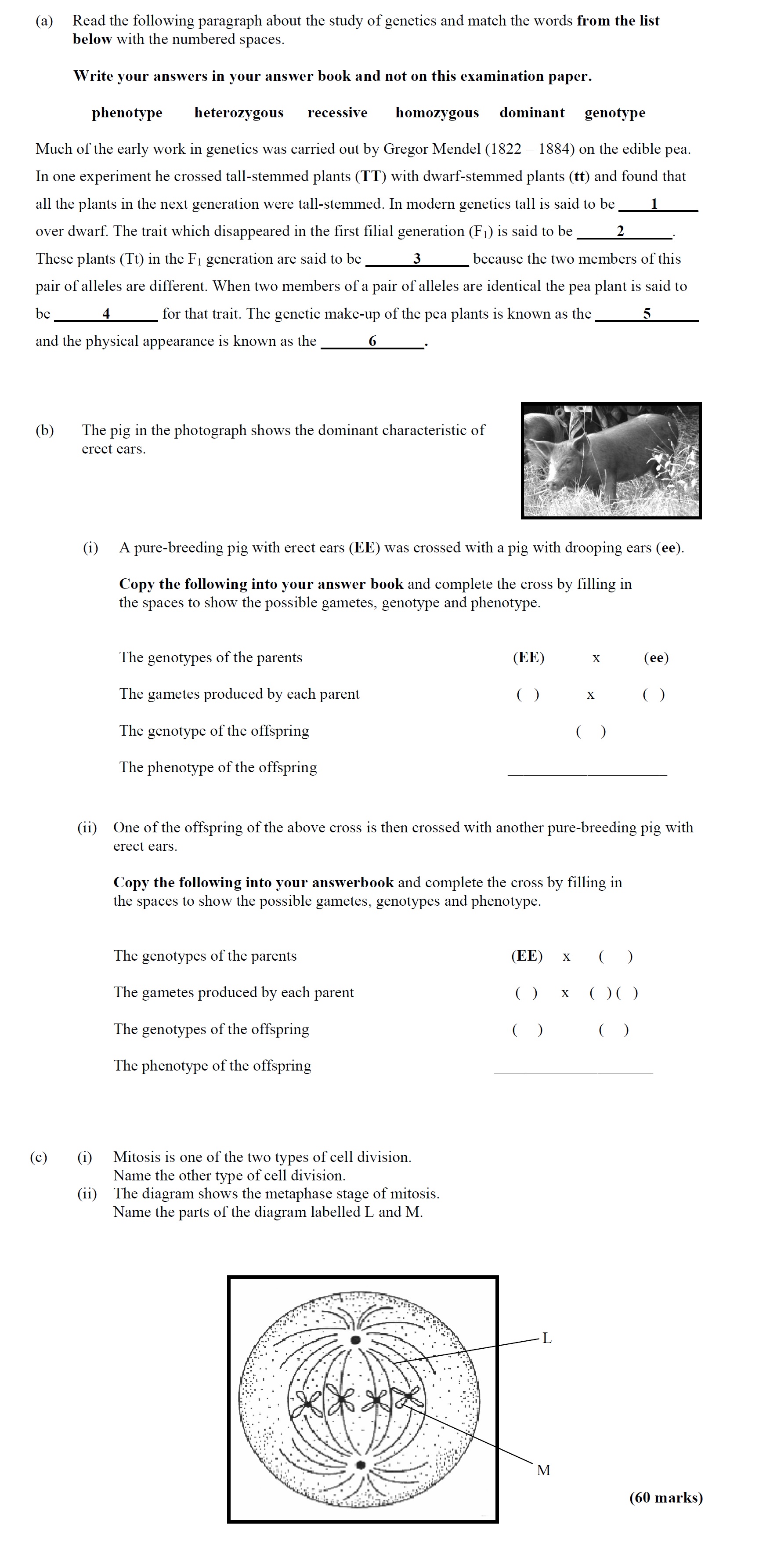 Read-the-following-paragraph-about-the-study-of-genetics-and-match-the-words-from-the-list-below-with-the-numbered-spaces-Leaving Cert Agricultural Science-Question Question 1-2010.png