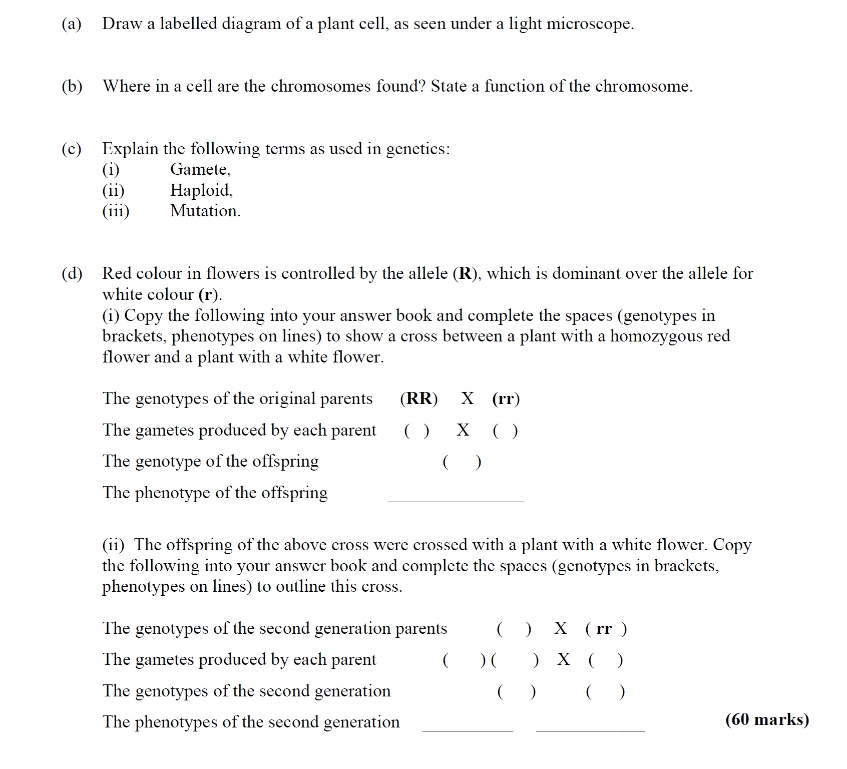Draw-a-labelled-diagram-of-a-plant-cell,-as-seen-under-a-light-microscope-Leaving Cert Agricultural Science-Question 3-2008.png