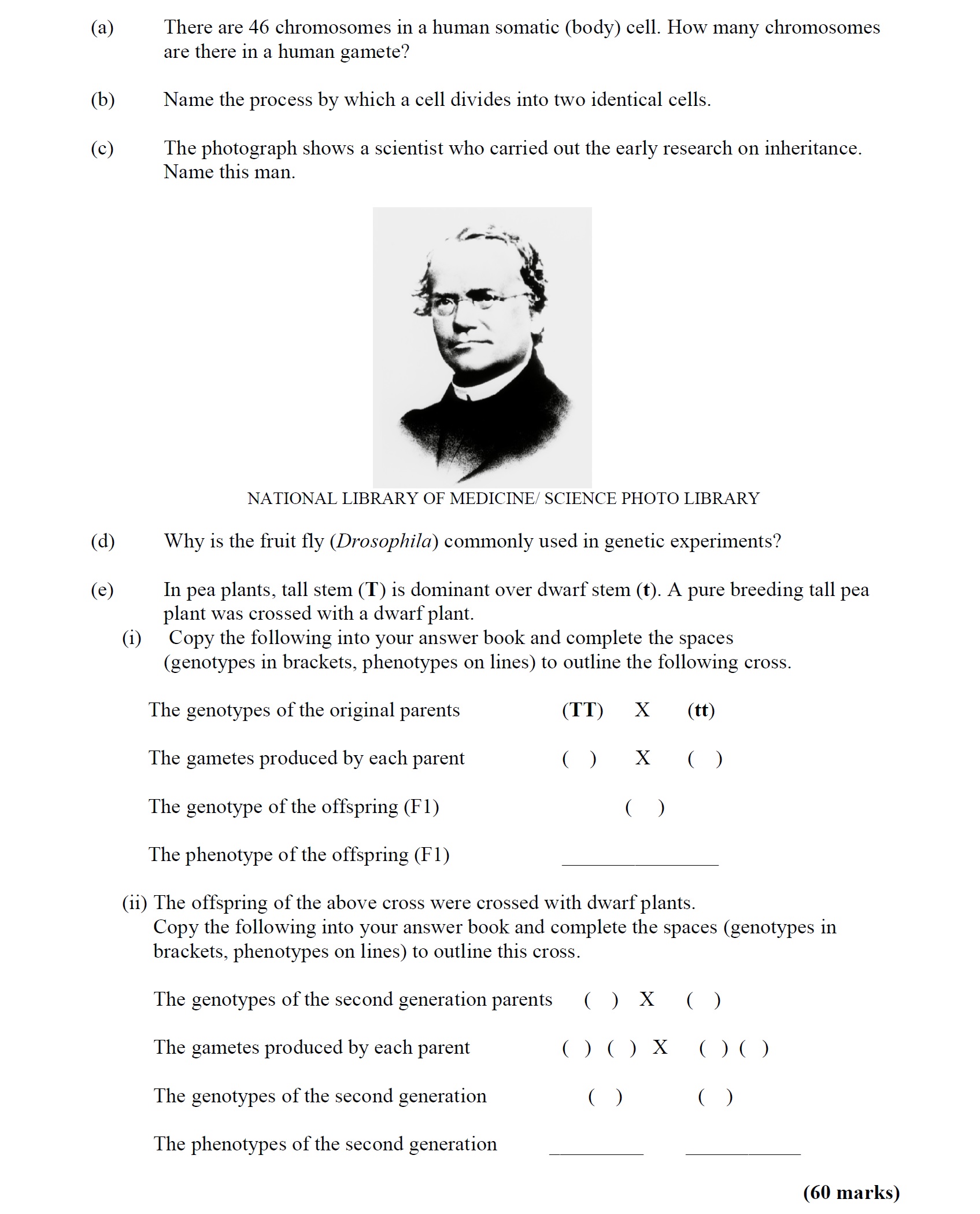 There-are-46-chromosomes-in-a-human-somatic-(body)-cell-Leaving Cert Agricultural Science-Question Question 1-2006.png