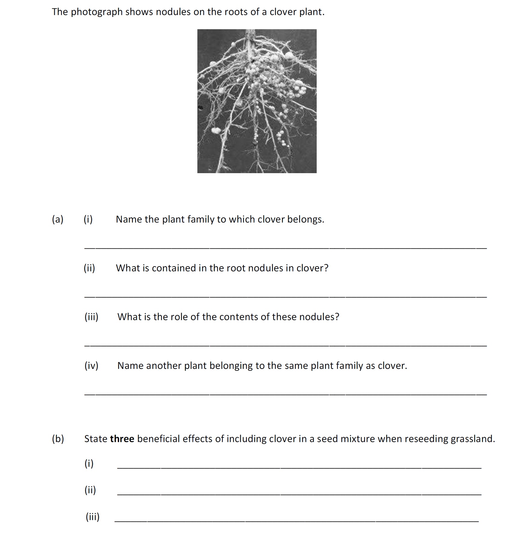 The-photograph-shows-nodules-on-the-roots-of-a-clover-plant-Leaving Cert Agricultural Science-Question Question 1-2019.png
